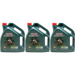 Castrol Magnatec 10W-40 A3/B4 Diesel & Benziner Motoröl 3x 5 = 15 Liter