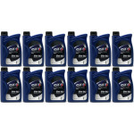 Elf Evolution 900 5W-50 Motoröl 12x 1l = 12 Liter