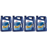 Eurolub GTS SAE 20W-50 4x 5 = 20 Liter