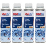 Eurolub EAP 111+ Motorspülung & Getriebespülung 4x 300 Milliliter