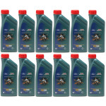 Castrol Magnatec (ex. Professional) A5 5W-30 Ford Motoröl 12x 1l = 12 Liter