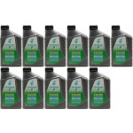 Selenia WR Pure Energy 5W-30 Motoröl 11x 1l = 11 Liter