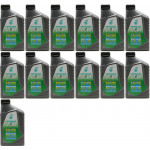 Selenia WR Pure Energy 5W-30 Motoröl 13x 1l = 13 Liter