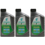 Selenia WR Pure Energy 5W-30 Motoröl 3x 1l = 3 Liter
