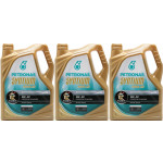 Petronas Syntium 5000 XS 5W-30 Motoröl 3x 5 = 15 Liter