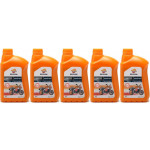 Repsol Motorrad Motoröl MOTO SINTETICO 4T 10W40 1 Liter 5x 1l = 5 Liter