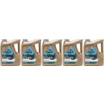 Repsol Motoröl Master Racing 10W60 5x 4l = 20 Liter