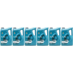 Repsol Motoröl ELITE EVOLUTION DX2 5W30 6x 5 = 30 Liter