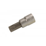 BGS Bit-Einsatz | Antrieb Innenvierkant 10 mm (3/8
