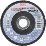 BGS Fächer-Schleif-Scheibe | Ø 125 mm | K 120
