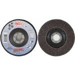BGS Fächer-Schleif-Scheibe | Ø 125 mm | K 40