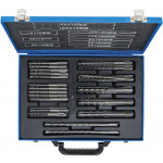 BGS Hammer-Bohrer-Satz | SDS-Schaft, Hartmetallspitze | 4 - 12 mm | 56-tlg.