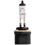 HELLA Glühlampe, Nebelscheinwerfer