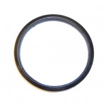 ELRING Dichtung, Thermostat