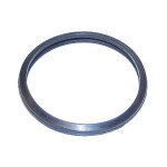 ELRING Dichtung, Thermostat