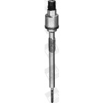 BorgWarner (BERU) Glühkerze