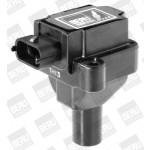 BorgWarner (BERU) Zündspule
