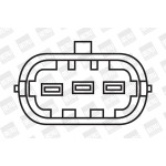 BorgWarner (BERU) Zündspule