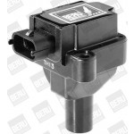 BorgWarner (BERU) Zündspule