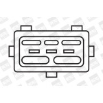 BorgWarner (BERU) Zündspule
