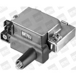 BorgWarner (BERU) Zündspule