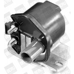 BorgWarner (BERU) Zündspule