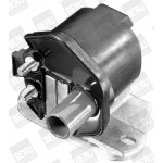 BorgWarner (BERU) Zündspule