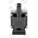 BorgWarner (BERU) Zündspule