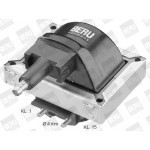 BorgWarner (BERU) Zündspule
