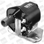 BorgWarner (BERU) Zündspule