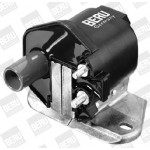 BorgWarner (BERU) Zündspule