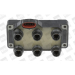 BorgWarner (BERU) Zündspule