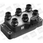 BorgWarner (BERU) Zündspule
