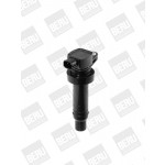 BorgWarner (BERU) Zündspule