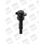 BorgWarner (BERU) Zündspule