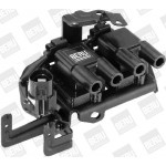 BorgWarner (BERU) Zündspule