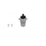 BorgWarner (BERU) Zündspule