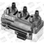 BorgWarner (BERU) Zündspule