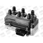 BorgWarner (BERU) Zündspule