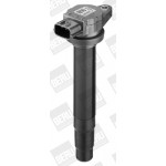 BorgWarner (BERU) Zündspule