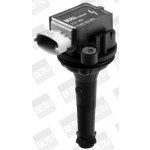 BorgWarner (BERU) Zündspule