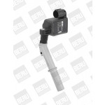BorgWarner (BERU) Zündspule