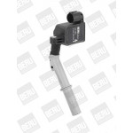 BorgWarner (BERU) Zündspule