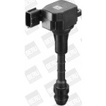 BorgWarner (BERU) Zündspule