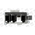 BorgWarner (BERU) Zündspule