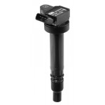 BorgWarner (BERU) Zündspule