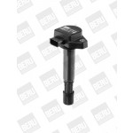 BorgWarner (BERU) Zündspule