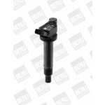BorgWarner (BERU) Zündspule