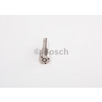 BOSCH Einspritzdüse