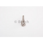 BOSCH Einspritzdüse